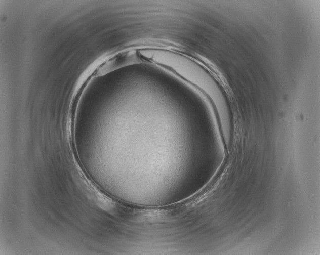 X0000085261188200703161356