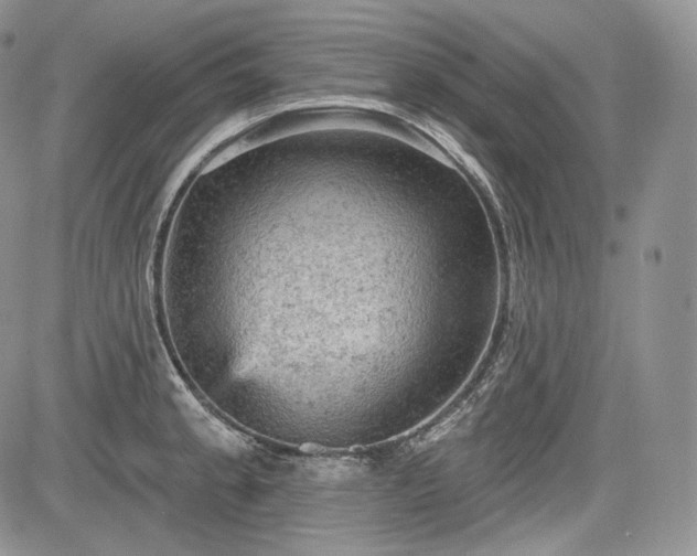 X0000085261189200703161356