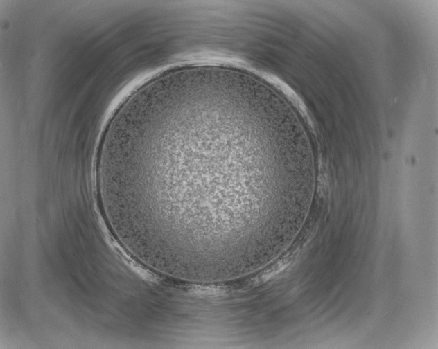 X0000085261191200703161356