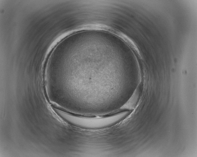 X0000085261192200703161356