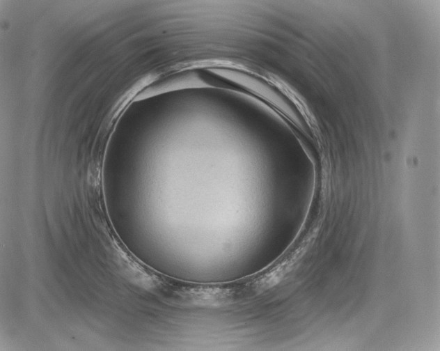 X0000085261193200703161356