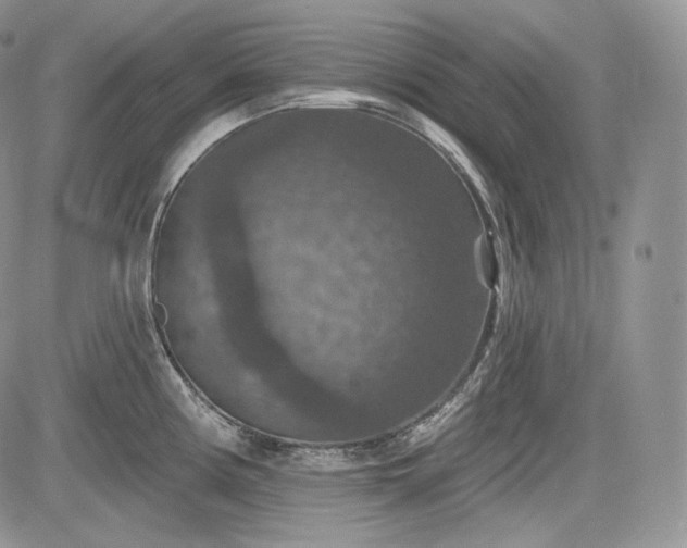 X0000085261194200703161356