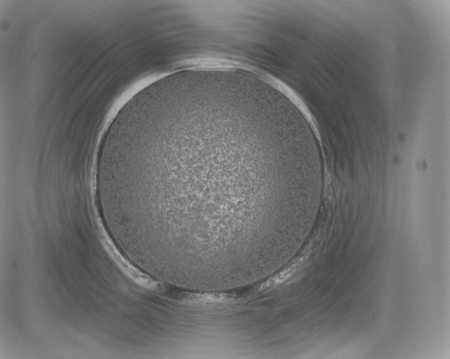 X0000085261195200703161356