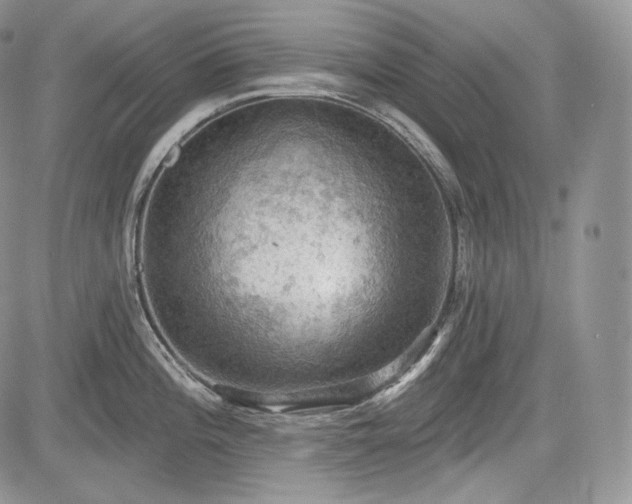 X0000085261196200703161356