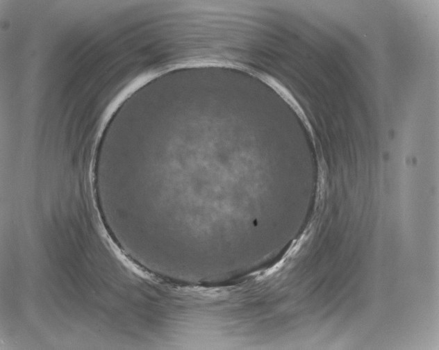 X0000085261197200703161356