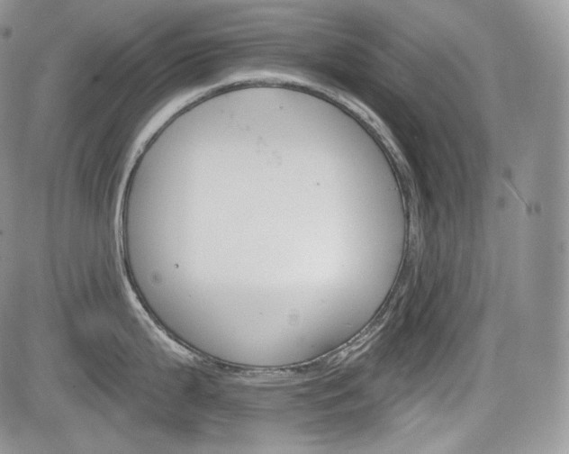 X0000085261199200703161356