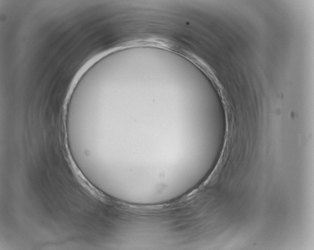 X0000085261200200703161356