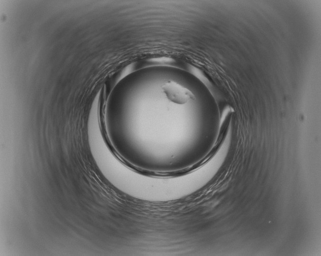 X0000085261202200703161355