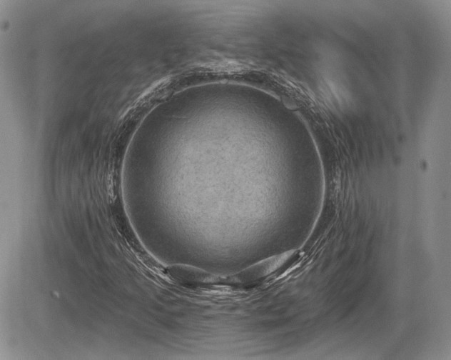 X0000085261205200703161355