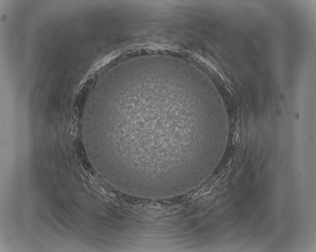 X0000085261207200703161355