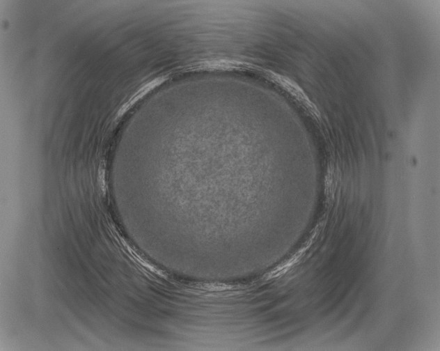 X0000085261209200703161355