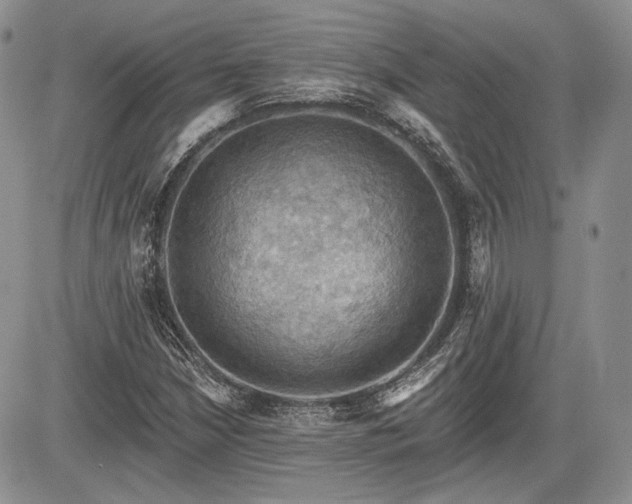 X0000085261210200703161355