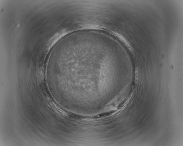 X0000085261212200703161355