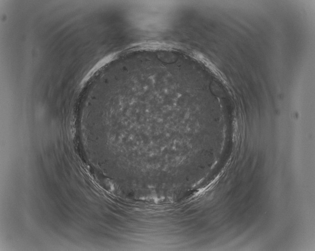 X0000085261213200703161355