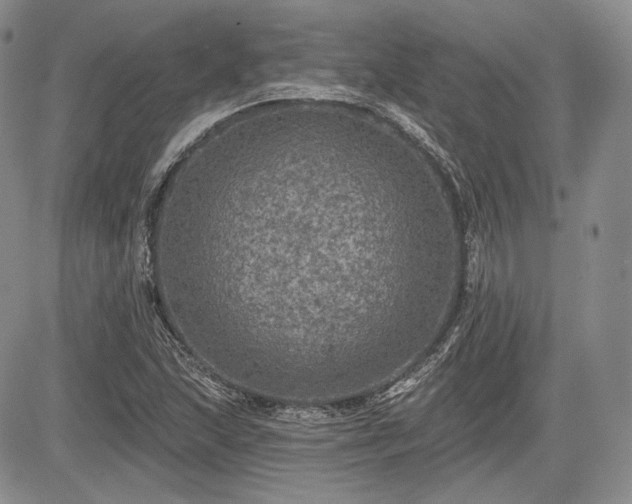 X0000085261215200703161355