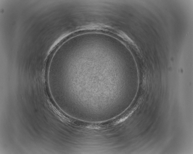 X0000085261216200703161355