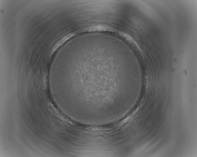 X0000085261217200703161355