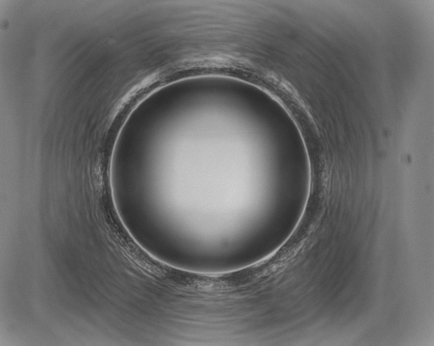 X0000085261218200703161355