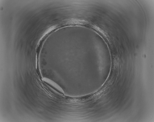 X0000085261219200703161355