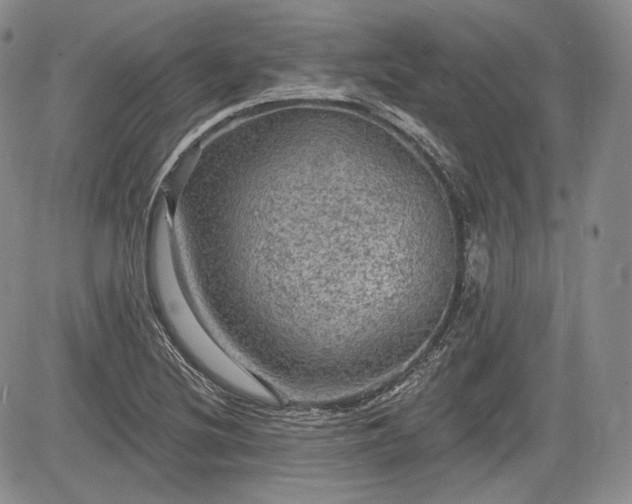 X0000085261220200703161355