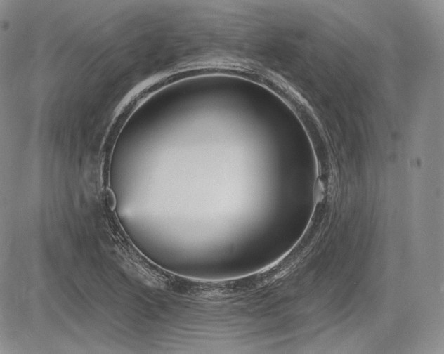 X0000085261222200703161355