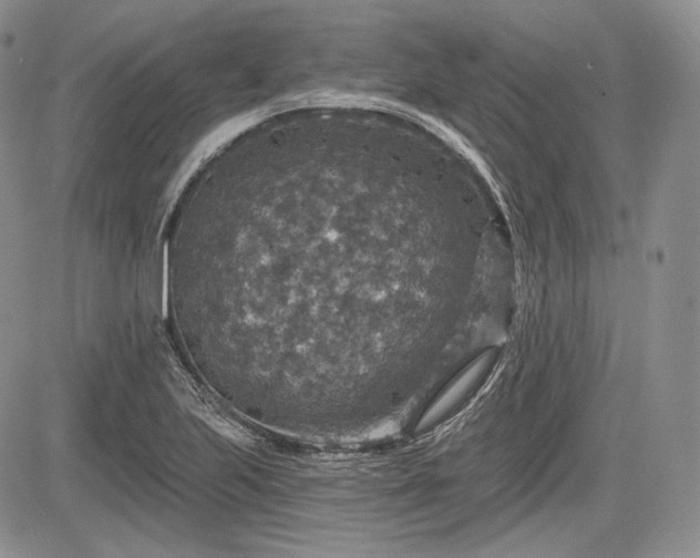 X0000085261223200703161355