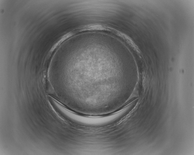 X0000085261225200703161355