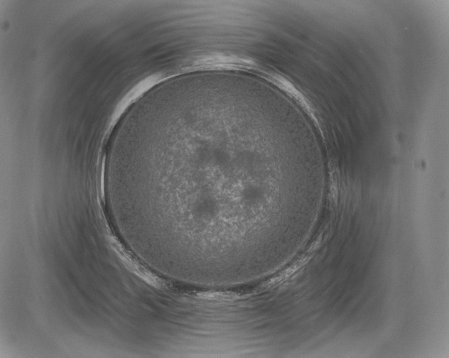 X0000085261227200703161355