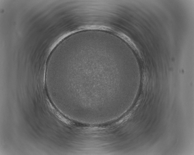 X0000085261228200703161355