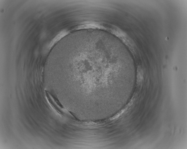 X0000085261233200703161355