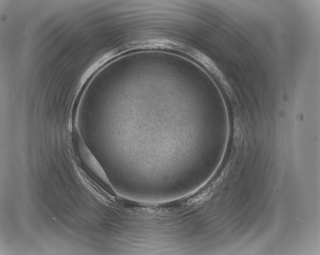 X0000085261234200703161355