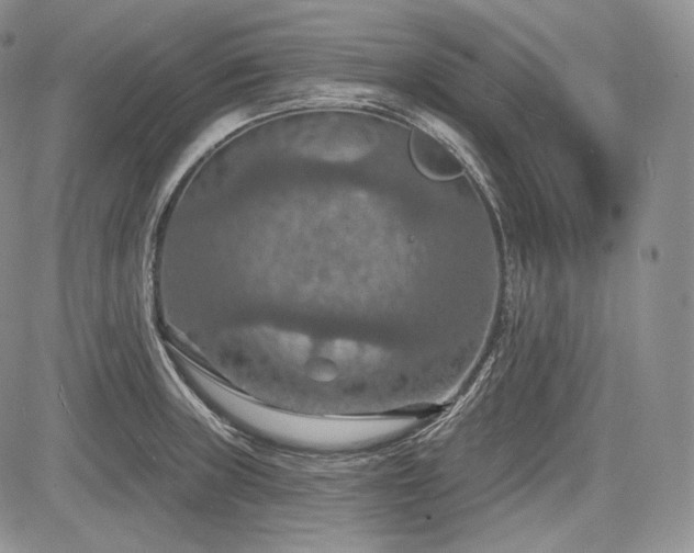 X0000085261235200703161355