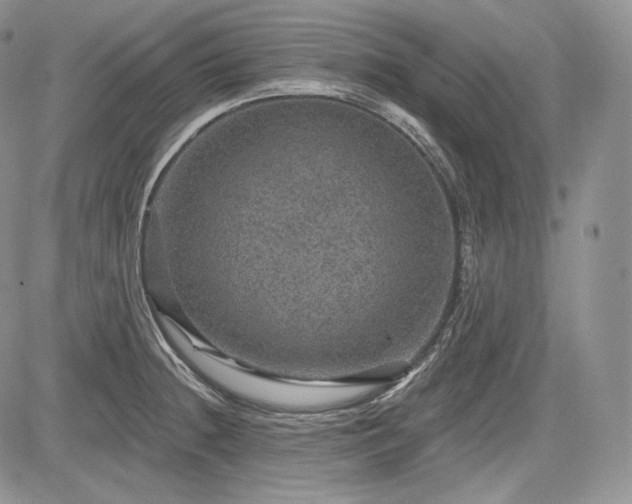 X0000085261236200703161355