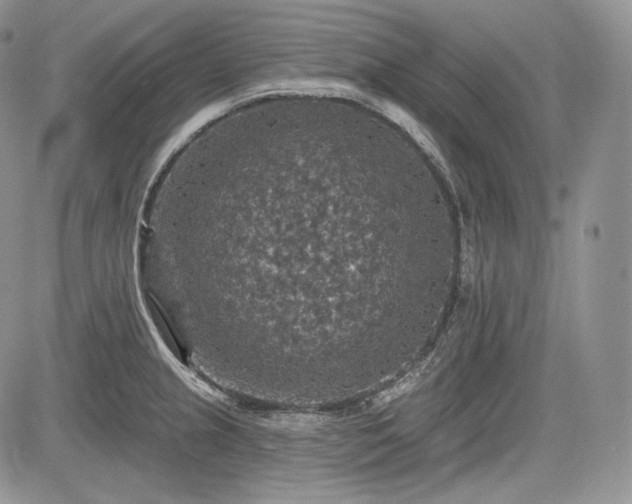 X0000085261237200703161355