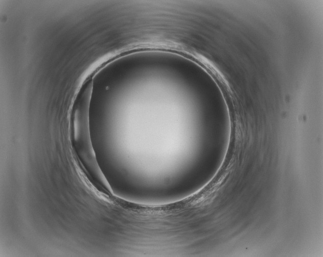 X0000085261238200703161355