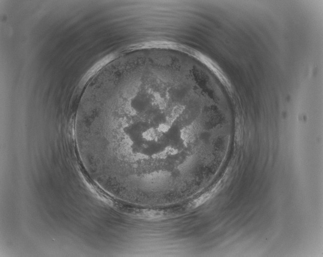 X0000085261241200703161355