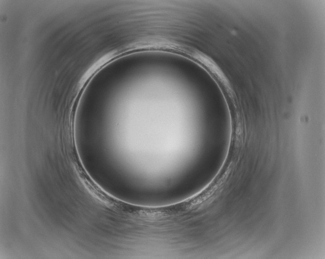 X0000085261242200703161355