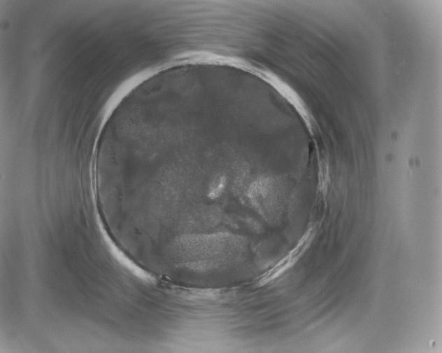 X0000085261247200703161355