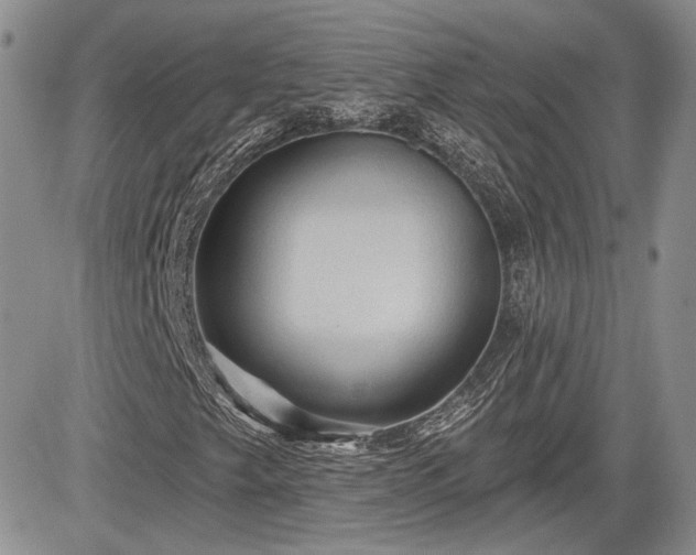 X0000085261249200703161355