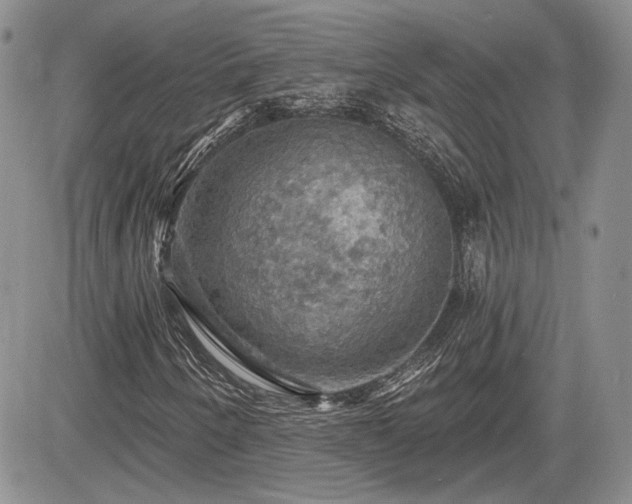 X0000085261250200703161355