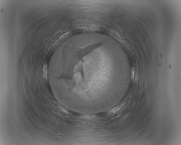 X0000085261251200703161355