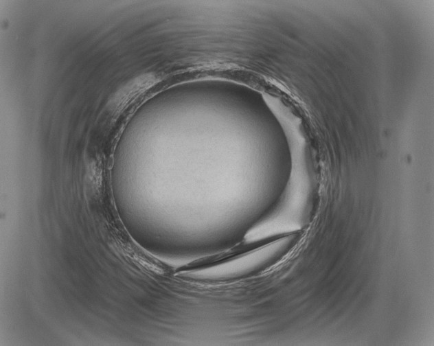 X0000085261257200703161355