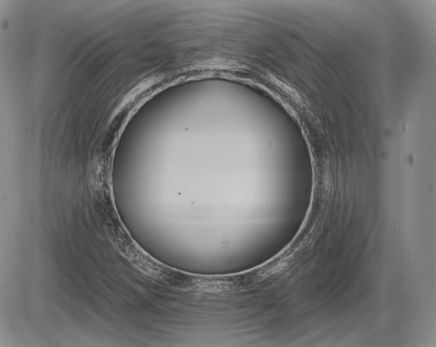 X0000085261258200703161355