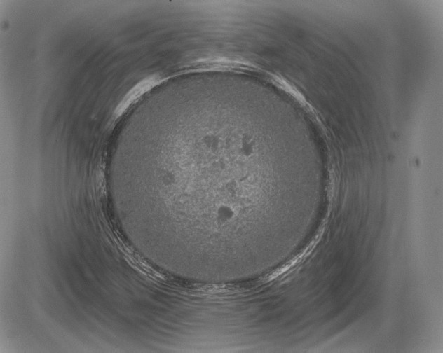 X0000085261259200703161355