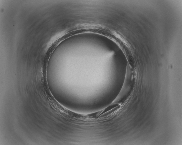 X0000085261261200703161355