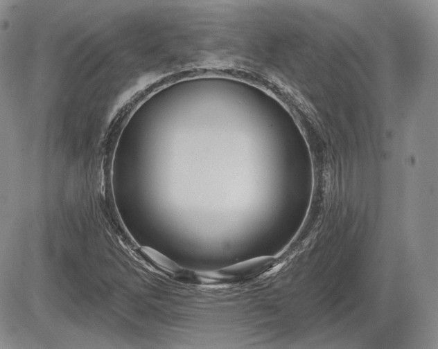 X0000085261262200703161354