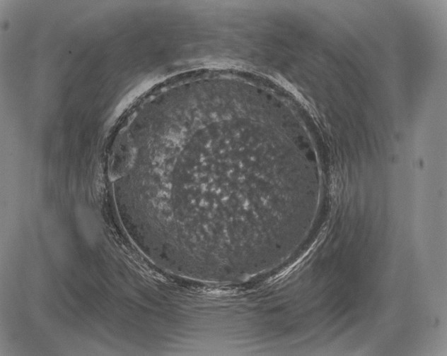 X0000085261263200703161354