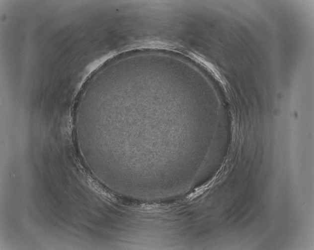 X0000085261264200703161354