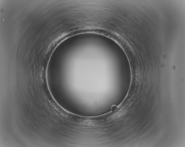 X0000085261265200703161354