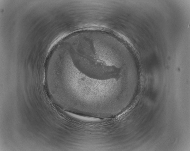 X0000085261267200703161354